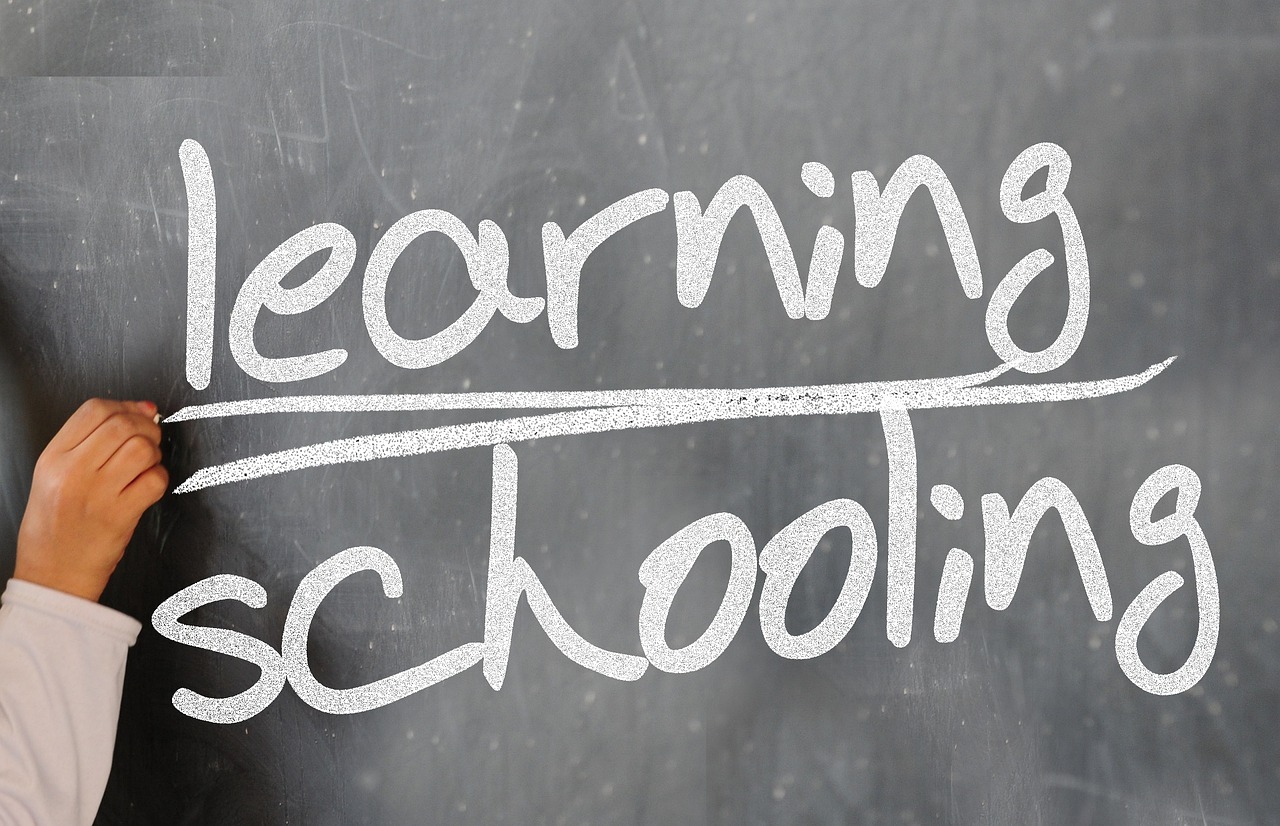 Navigating Tech Careers
