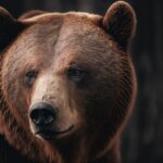 Avoiding Generative AI Mistakes