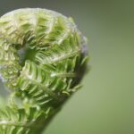 Mastering Android: Beginner Tips