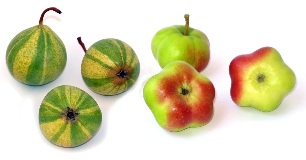 API Myths Debunked: Trends and Insights