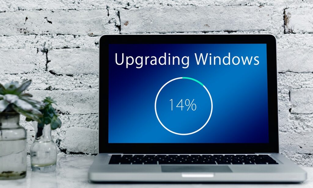 Choosing the Right Windows Solution: A Data-Driven Comparison Guide