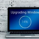 Choosing the Right Windows Solution: A Data-Driven Comparison Guide