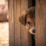 LegalTech Mistakes Uncovered: Why Most Firms Miss the Mark